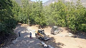 812 Yıllık Çınar’a Büyükşehir Koruması 