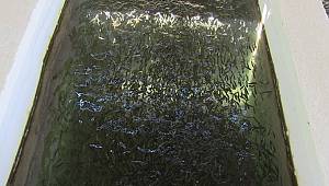 Elbistan, balık üretiminde önemli bir merkez 