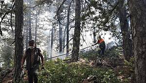  Kahramanmaraş’ta 9 ayda 72 orman yangını meydana geldi 