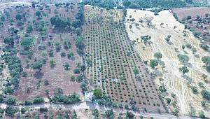 Kahramanmaraş’ta kaçak su kullanan cami görevlisine ceza 