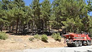 Kahramanmaraş'taki örtü yangınında 10 hektar alan zarar gördü 