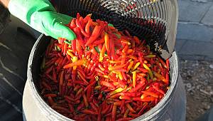 Koronavirüs ‘Maraş Biber’ turşusuna talebi artırdı 