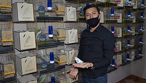 Kuş sevgisi onu yüzlerce kuş sahibi yaptı 