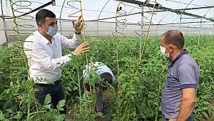 Sera çiftçilerine müjdeli haber Kahramanmaraş’tan geldi 