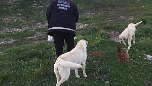  4 Bin Cana Yuva Olduk 