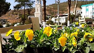 Daha yeşil ve daha güzel bir Türkoğlu için çalışıyoruz