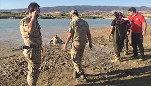 Kahramanmaraş'ta bataklığa saplanan kişi kurtarıldı 