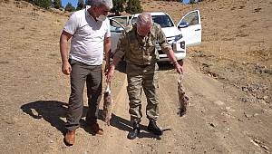 Kahramanmaraş'ta kaçak avcılar suçüstü yakalandı 