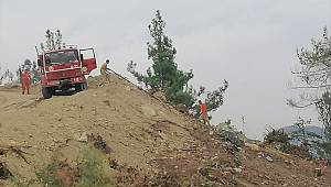 Kahramanmaraş'taki orman yangınlarında 65 hektar alan zarar gördü 