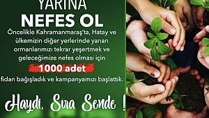  KMTSO'dan orman yangınları sonrası fidan kampanyası 