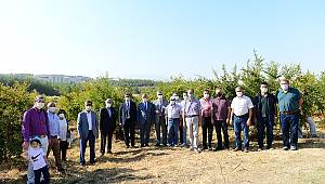 KSÜ Nar Bahçesinde Nar Günü Etkinliği Düzenlendi 