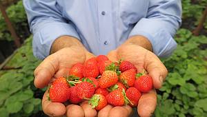 Rusya Kahramanmaraş’la anlaştı 