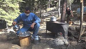 Yaylacıların yeni gözdesi ‘Yavşan’ 