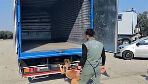 Çuvallarla uyuşturucu ele geçirildi 