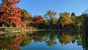 Kahramanmaraş’ta kare kare sonbahar 