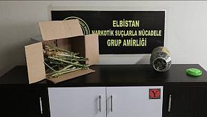 Kahramanmaraş'ta uyuşturucu operasyonu: 1 gözaltı 