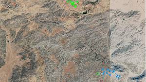 Kahramanmaraş’ta yaban koyunlarına GPS’li takip 