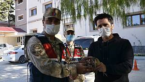 Kahramanmaraş'ta yaralı bulunan Avrasya çulluğu kuşu tedavi altına alındı 