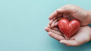 Koronavirüs Süreci Organ Bağışlarını Olumsuz Etkiledi! 