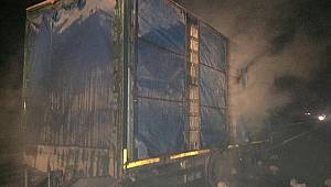 Onlarca tavuk telef oldu 