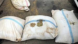 Yakalanmasaydı kimyon diye piyasaya süreceklerdi 