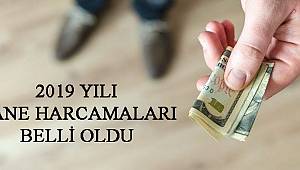 2019 Yılı Hane Harcamaları Belli Oldu 