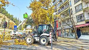 Ağaçlar Bakıma Alındı 