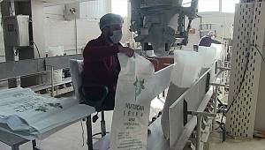 Elbistan'da 365 bin ton pancar işlendi, 50 bin ton toz şeker elde edildi 