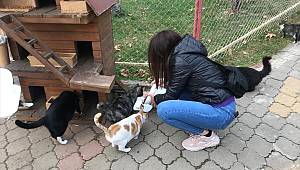 HAYTAP Kahramanmaraş'ta sokak hayvanları unutmadı 