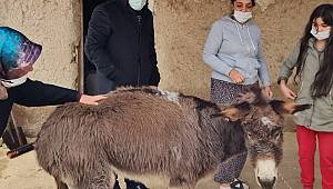 İşkence edilen eşek için seferber oldular 