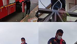 Kahramanmaraş'ta ağaçta mahsur kalan kediyi itfaiye kurtardı 