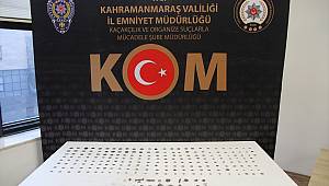 Kahramanmaraş'ta çeşitli dönemlere ait 224 sikke ve obje geçirildi 