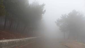 Kahramanmaraş'ta sis etkili oldu 