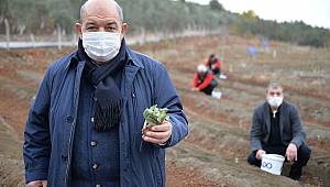 Mado’dan bölge çiftçisini ihya edecek proje 