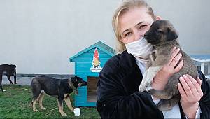 Başkan Mahçiçek, “Can Dostlarımız Bize Emanet” 