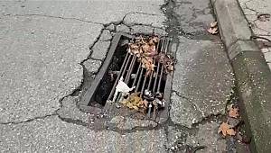 Görme engelli yaşlı adam mazgala düştü 