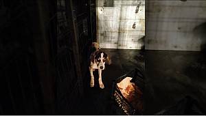 Kahramanmaraş'ta karda donmak üzere olan köpek kurtarıldı