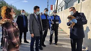 Kahramanmaraş'ta sokak hayvanları unutulmadı 