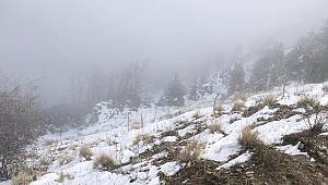 Tam 1 Milyon TL’lik lüks otomobil uçuruma yuvarlandı 