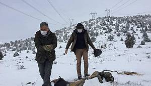 Doğa savaşçılarının dikkatinden kaçmadı 