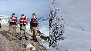 Jandarma yaban hayvanlarını unutmadı 
