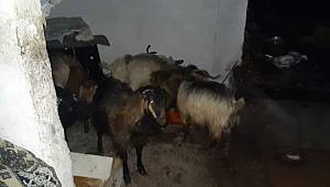 Kahramanmaraş'ta aşırı yağışlar sulama kanalının taşmasına neden oldu 