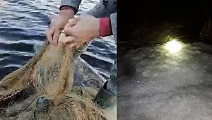 Kahramanmaraş’ta balıkçılarının kirlilik isyanı 