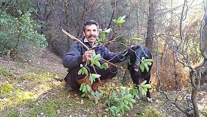 Kahramanmaraş'ta kayalıklarda mahsur kalan keçi kurtarıldı 