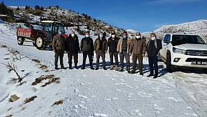 Kahramanmaraş’ta yaban keçileri için doğaya yem bırakıldı 