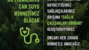 TEMA Vakfı’ndan anlamlı girişim: ‘Sağlık Çalışanları Ormanı’ 