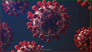 365 günde 58 milyondan fazla haber