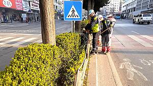 Arterler Minyatür Ağaçlarla Süsleniyor