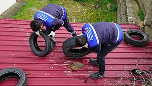 Her Atık Lastik Sivrisinek Üreme Alanıdır