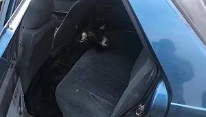 Kahramanmaraş’ta hayvan hırsızlığı iddiası 